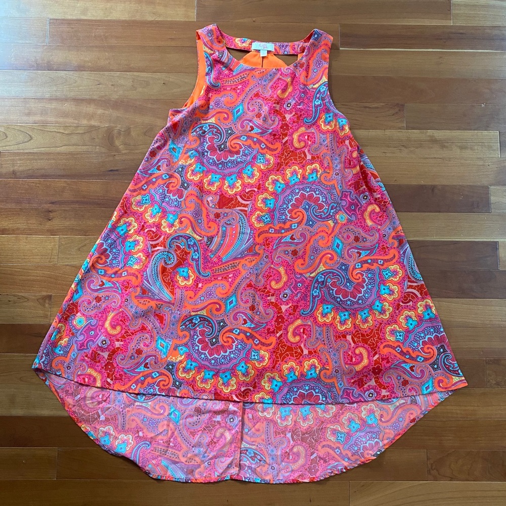 GB Girls Colorful Paisley Dress with Lining-Large